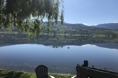 lake-chairs-birds